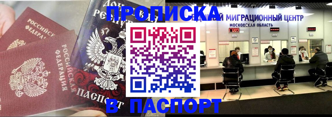прописка поиск в Светлогорске